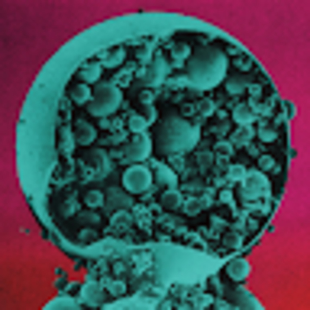 Meet your Posher, Giovanni